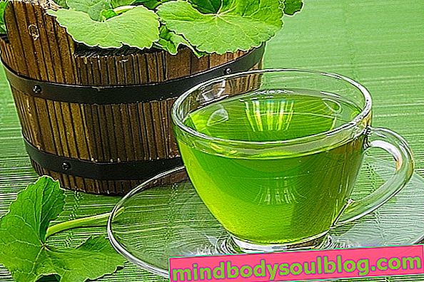 8 bienfaits pour la santé de Centella asiatica