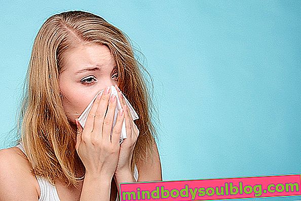 5 Pengobatan Teratas untuk Rinitis Alergi