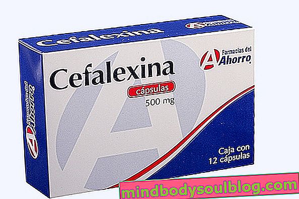 Cephalexin มีไว้ทำอะไรและใช้อย่างไร