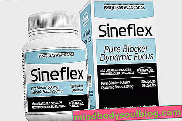 Sineflex - spalacz tłuszczu i suplement termogeniczny