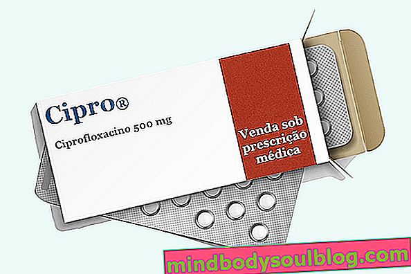 Ciprofloxacino: wofür es ist, wie es einzunehmen ist und Nebenwirkungen