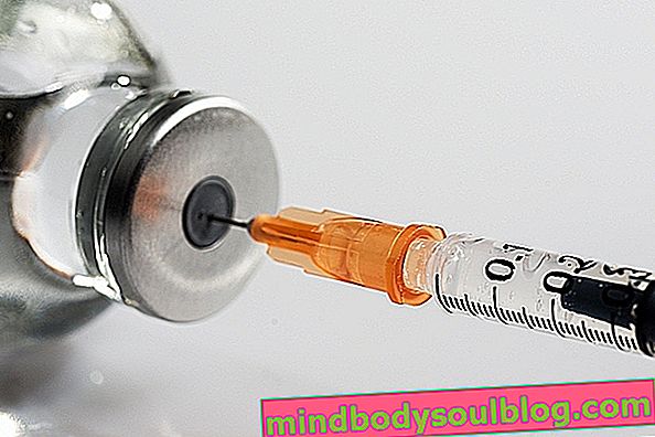 Vaksin rabies manusia: kapan harus diminum, dosis dan efek sampingnya