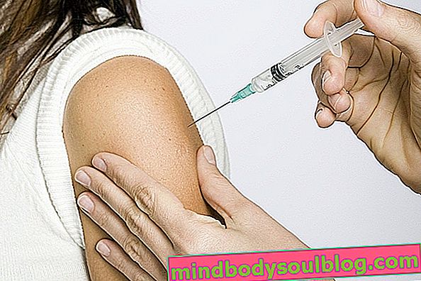 Impfstoffe, die vor Meningitis schützen