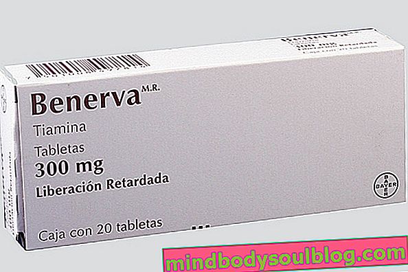 Benerva - suplement witaminy B1