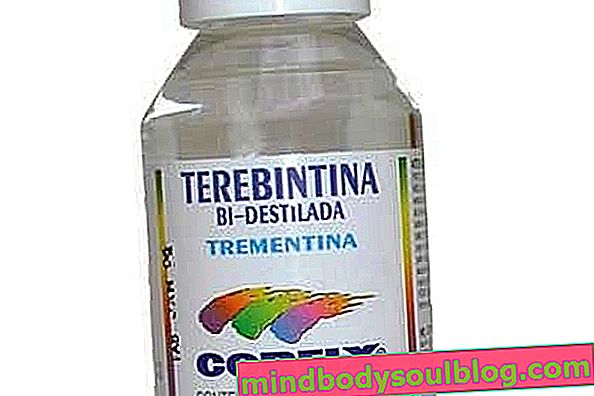 Terpentyna