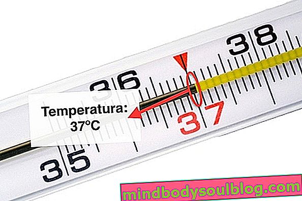 Comment utiliser le thermomètre numérique, en verre ou infrarouge
