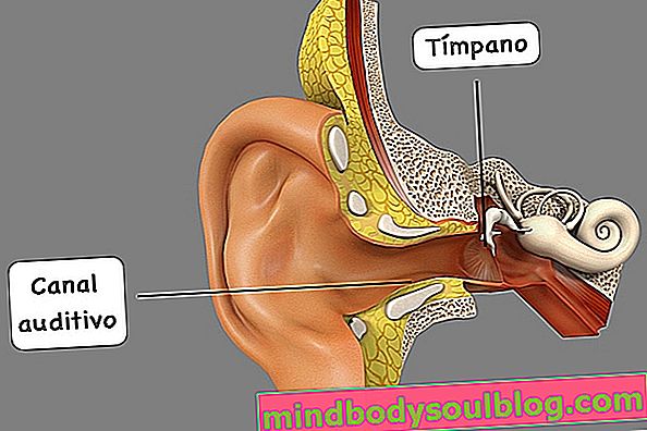 כיצד לנקות את האוזן ללא צמר גפן