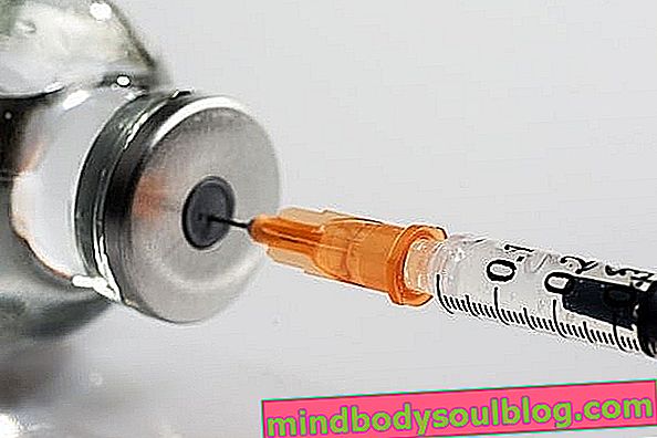 Quels sont les vaccins, quand les prendre et quels types