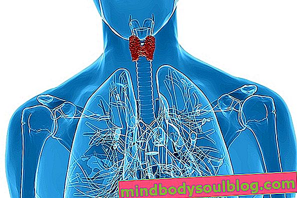 7 основни симптома на рак на щитовидната жлеза