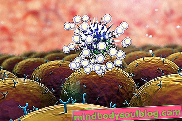 جهاز المناعة: ما هو وكيف يعمل