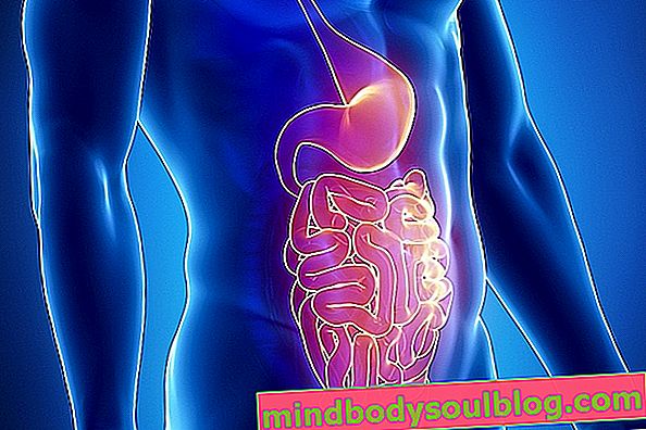 腸結核：それが何であるか、症状と治療