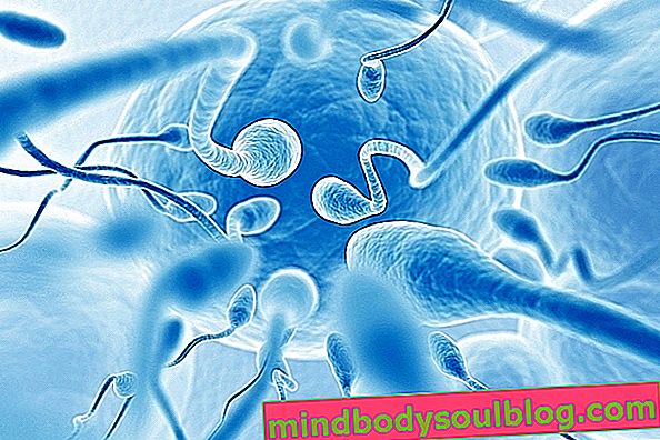 10 съмнения и любопитства относно спермата
