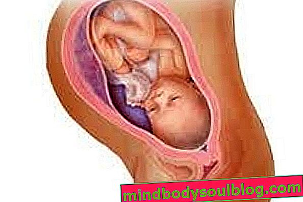 Perkembangan bayi - kehamilan 35 minggu