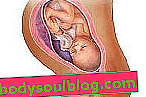 赤ちゃんの発育-妊娠35週間
