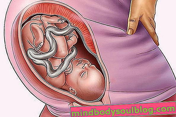 赤ちゃんの発育-妊娠35週間