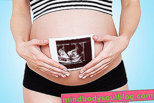 Développement du bébé - 14 semaines de gestation