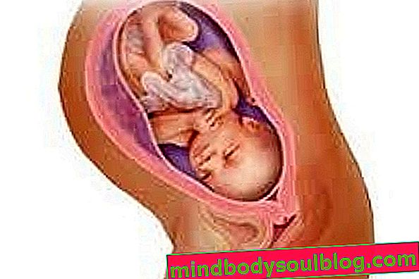 Perkembangan bayi - usia kehamilan 34 minggu