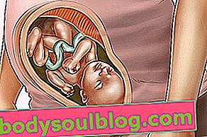 Perkembangan bayi - usia kehamilan 33 minggu