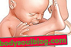 Développement du bébé - 33 semaines de gestation