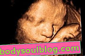 赤ちゃんの発育-妊娠31週間
