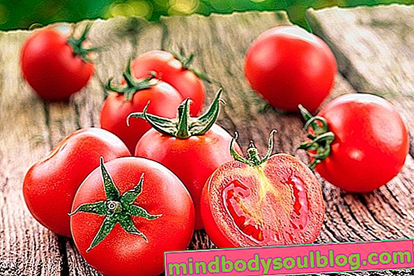 Pomidor: główne zalety i sposób spożywania