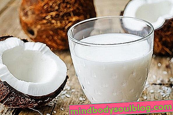Dowiedz się, jak zrobić mleko kokosowe w domu i jakie korzyści daje
