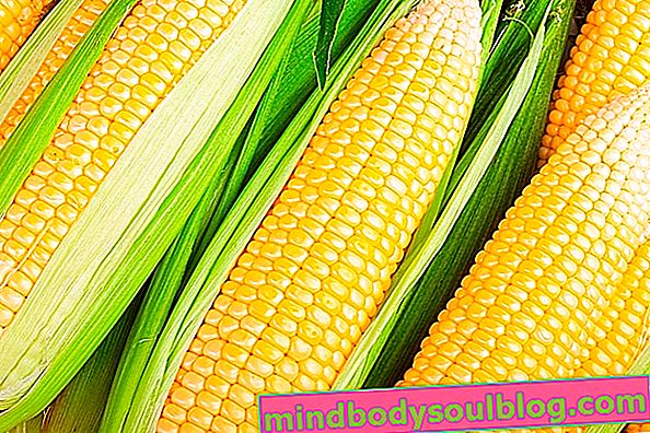 7 bienfaits du maïs pour la santé