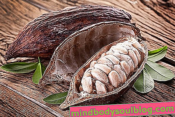Manfaat kesihatan utama Kakao
