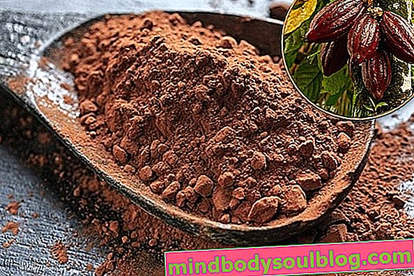Manfaat kesihatan utama Kakao