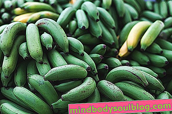 6 ползи за здравето на зелените банани
