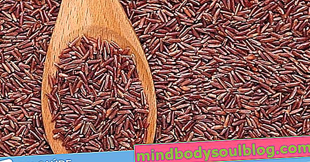 Nasi merah: 6 manfaat kesehatan dan cara mengolahnya