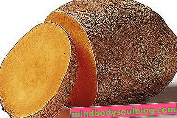 Pomme de terre Yacon: qu'est-ce que c'est, à quoi ça sert et comment consommer
