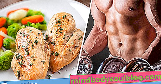 Was auf der Protein-Diät zu essen