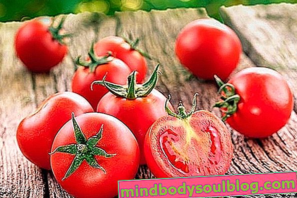 Чи правда, що насіння помідорів шкідливе?