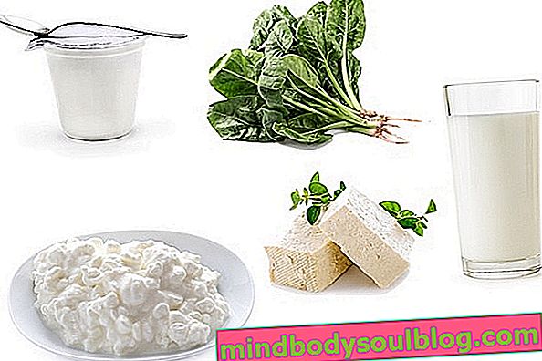 Liste des aliments riches en calcium