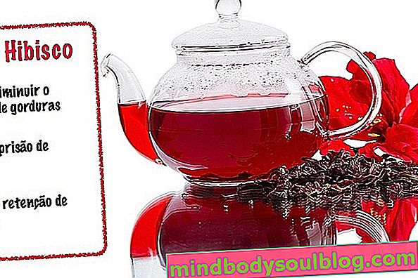 Диета на основе чая из гибискуса для похудения