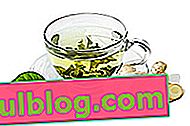 Grüner Tee mit Ingwer zum Abnehmen