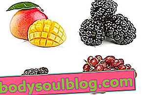 Kalziumreiche Früchte