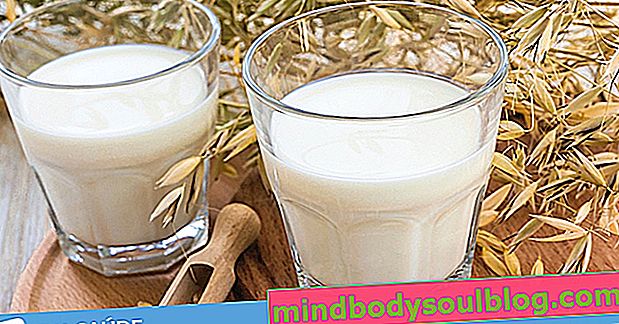 Овсяное молоко: основные преимущества и как приготовить его дома