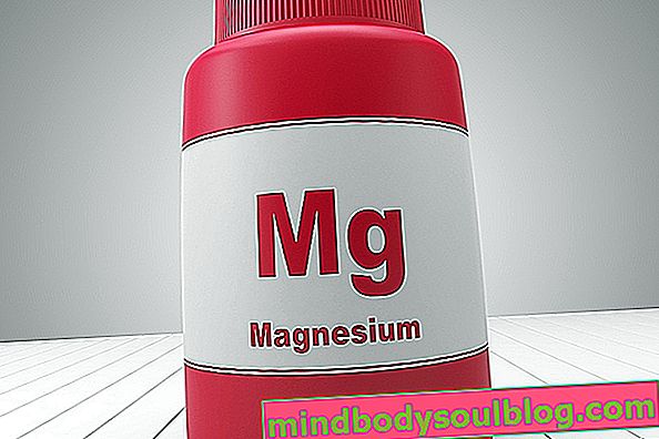 10 Makanan Magnesium Terkaya