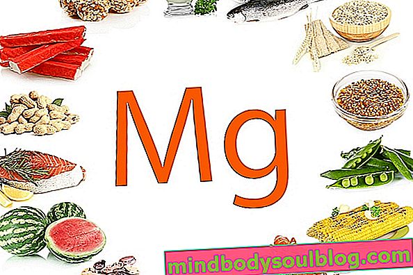 マグネシウムが豊富な食品トップ10