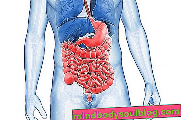 大腸炎：それが何であるか、種類と主な症状