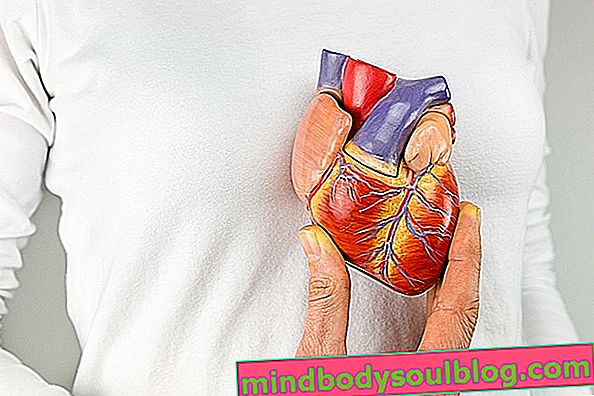 Ist eine Herzrhythmusstörung heilbar?