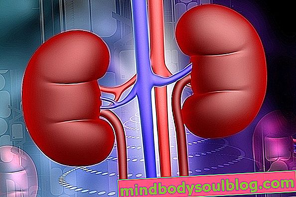 腎臓感染症：主な症状と治療方法