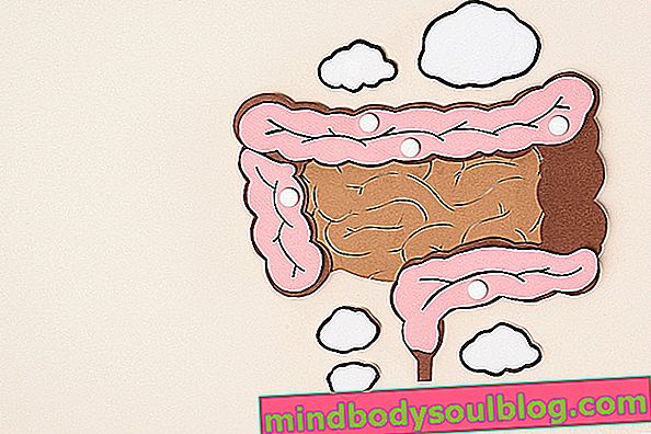Candidose intestinale: qu'est-ce que c'est, symptômes, causes et traitement