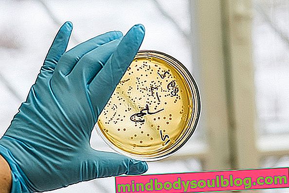 Gejala Staphylococcus aureus, diagnosis dan cara merawatnya