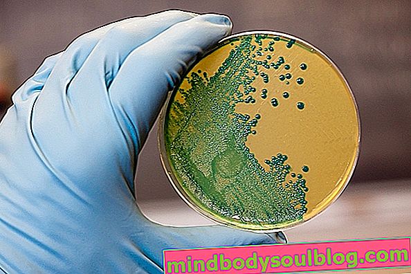 7 chorób wywoływanych przez bakterie
