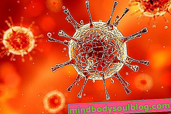 Cytomegalovirus: Was es ist, Symptome und Behandlung