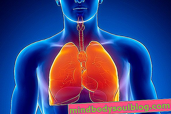 Trombosis paru: apa itu, gejala utama dan pengobatan