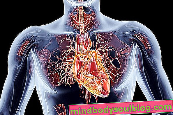 5 principales causes d'eau dans les poumons